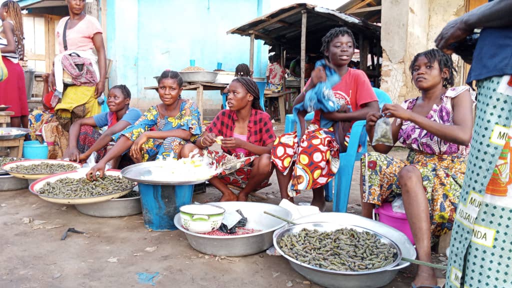 Zongo : la saison des chenilles dynamise le marché Garangbaka